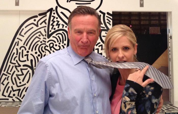 Calato il sipario dello show cult di Joss Whedon, la liceale inteneritrice di vampiri ha macinato flop tra film e serial tv; ultimo in ordine cronologico è la sitcom-evento The Crazy Ones  (dal 10 aprile su Sky Atlantic) dove recita al fianco di un mostro sacro come Robin Williams.