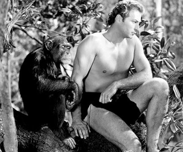 Cheetah è l’inseparabile scimpanzé amico di Tarzan l'uomo scimmia (1932)