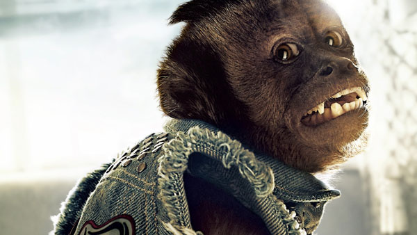 Il beffardo cebo capuccino spacciatore in Una Notte da Leoni