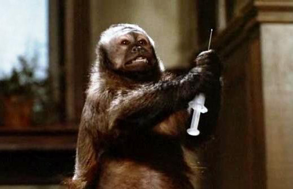 La piccola mangia-banane psicopatica in Monkey Shines (1988)