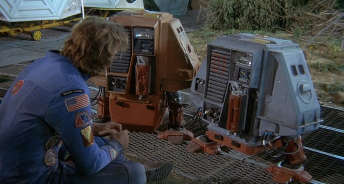 Paperino e Paperina ne 2002: la seconda odissea (1972)