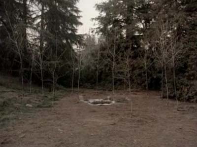 La Botola che porta alla Loggia Nera