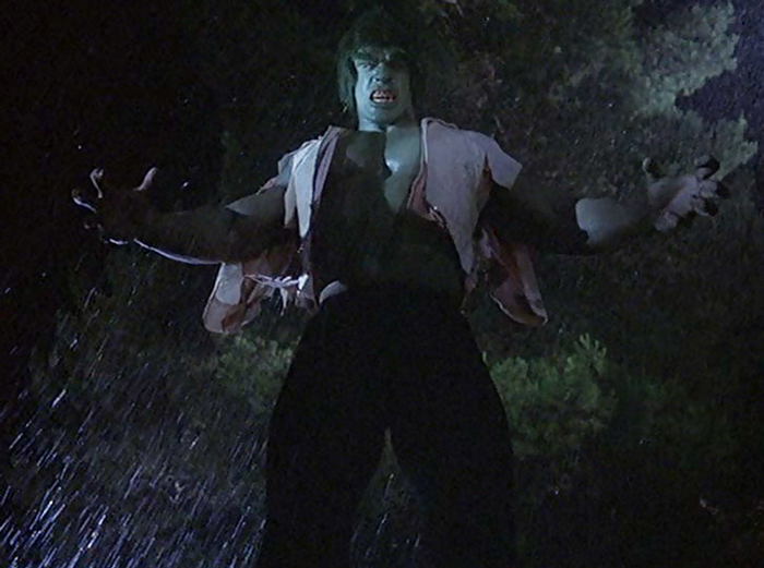 Incredible-Hulk-TV-Ferrigno-Bixby-h8