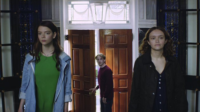 Thoroughbred - Still 2